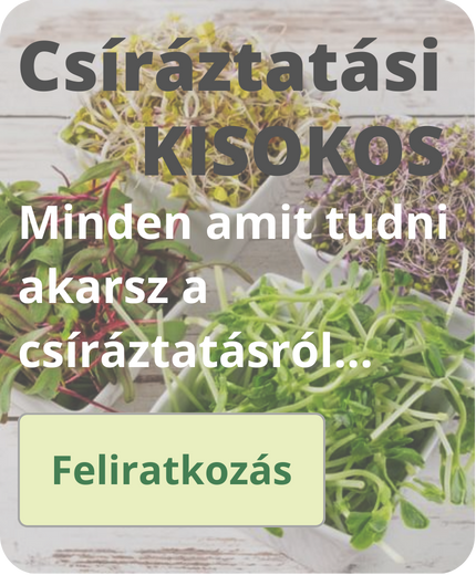 Neera kúra kisokos feliratkozas ikon