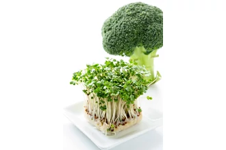 Vitamin ABC 8. rész