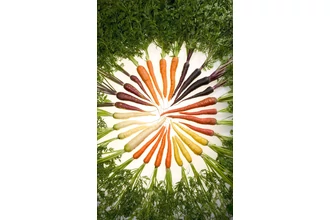 Vitamin ABC 1. rész